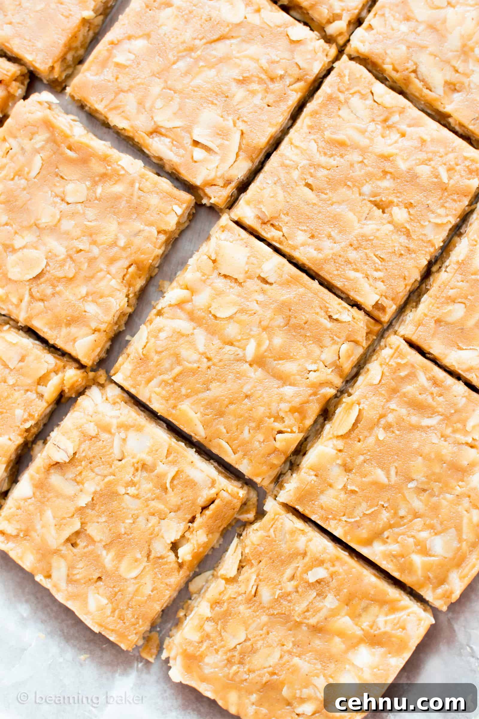 4-Ingredient No-Bake Peanut Butter Coconut Oat Bars, Vegan GF 3 4 Ingredient No Bake Peanut Butter Coconut Oatmeal Bars (V, GF): an easy, one bowl recipe for protein-rich, gluten-free oatmeal bars bursting with peanut butter and coconut. #Vegan #GlutenFree #DairyFree #HealthySnacks #ProteinRich #RefinedSugarFree #PlantBased | Recipe on BeamingBaker.com