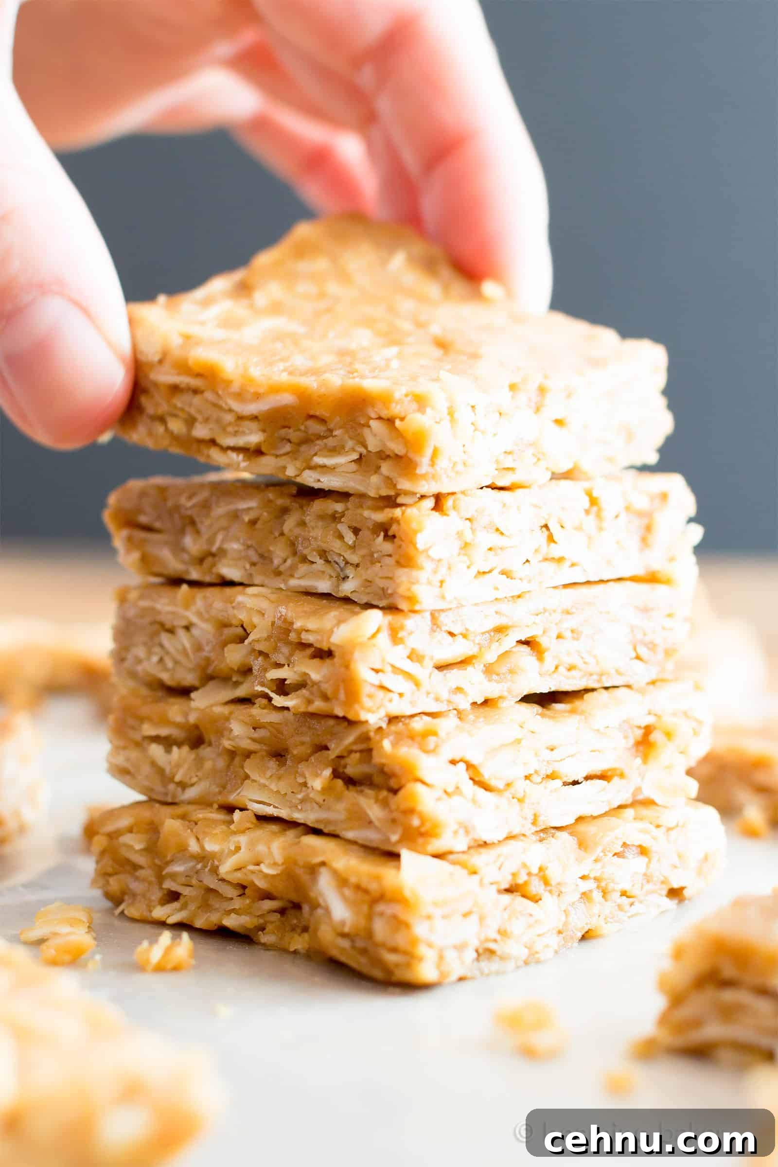 4-Ingredient No-Bake Peanut Butter Coconut Oat Bars, Vegan GF 4 4 Ingredient No Bake Peanut Butter Coconut Oatmeal Bars (V, GF): an easy, one bowl recipe for protein-rich, gluten-free oatmeal bars bursting with peanut butter and coconut. #Vegan #GlutenFree #DairyFree #HealthySnacks #ProteinRich #RefinedSugarFree #PlantBased | Recipe on BeamingBaker.com