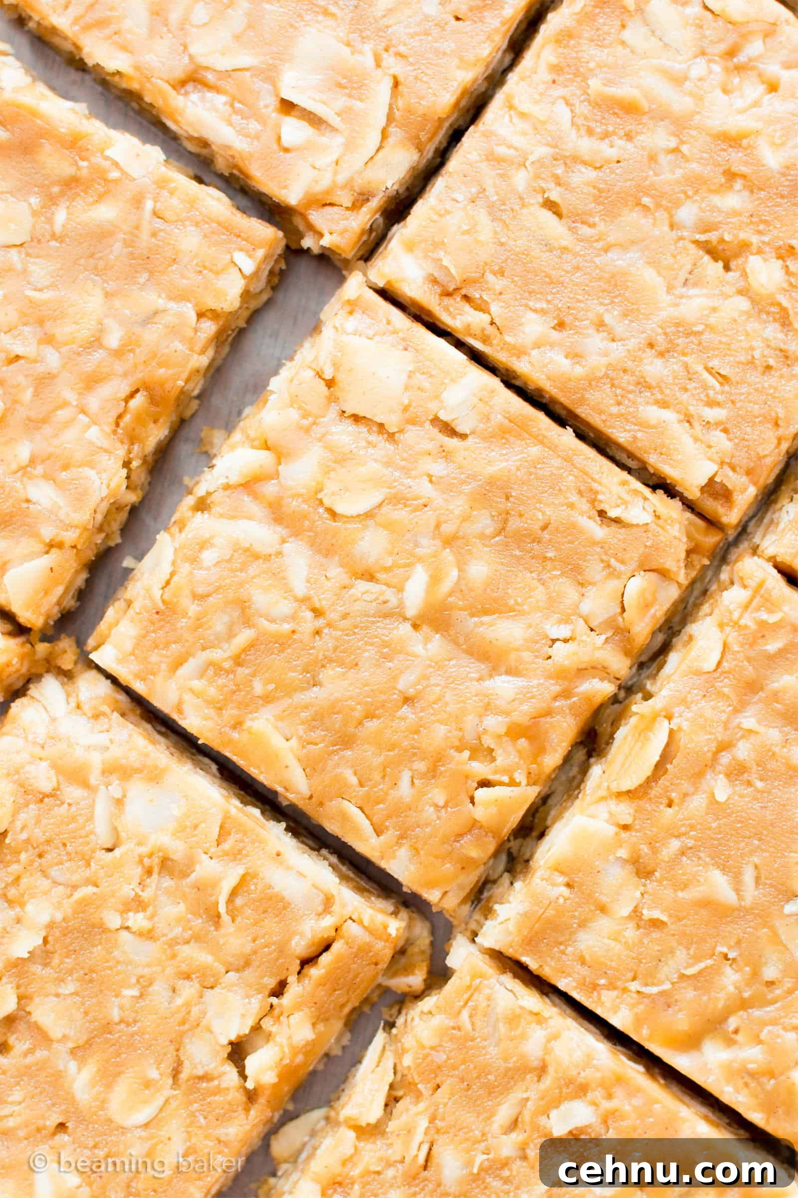 4-Ingredient No-Bake Peanut Butter Coconut Oat Bars, Vegan GF 5 4 Ingredient No Bake Peanut Butter Coconut Oatmeal Bars (V, GF): an easy, one bowl recipe for protein-rich, gluten-free oatmeal bars bursting with peanut butter and coconut. #Vegan #GlutenFree #DairyFree #HealthySnacks #ProteinRich #RefinedSugarFree #PlantBased | Recipe on BeamingBaker.com