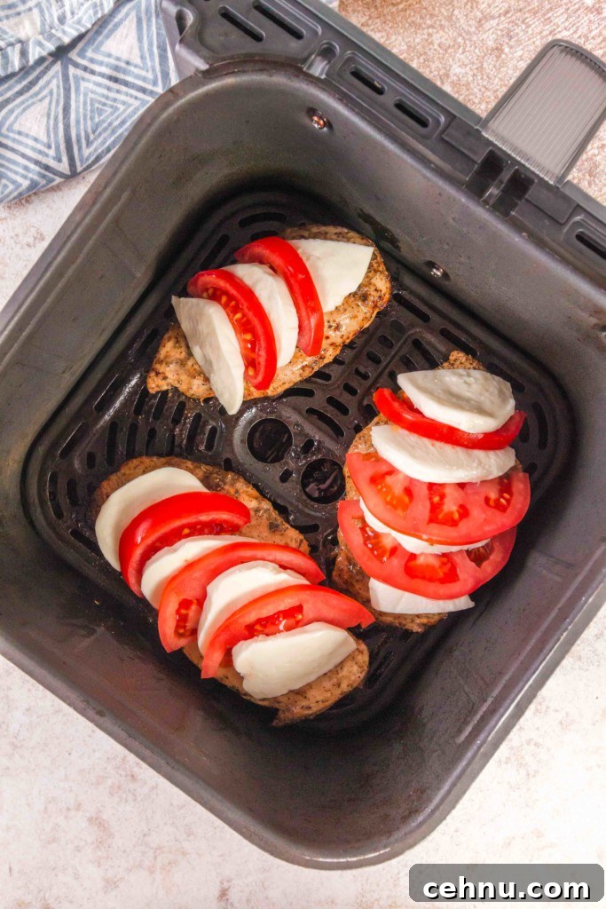 ninja air fryer chicken 