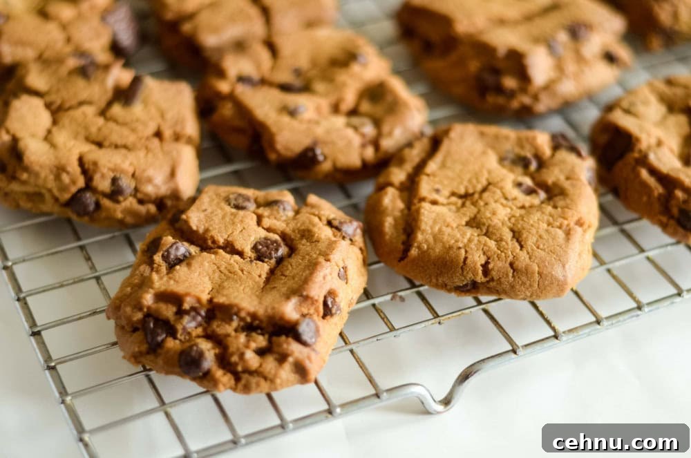 air fryer toll house cookies