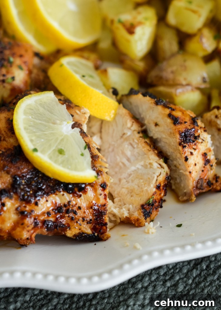 air fryer lemon pepper chicken