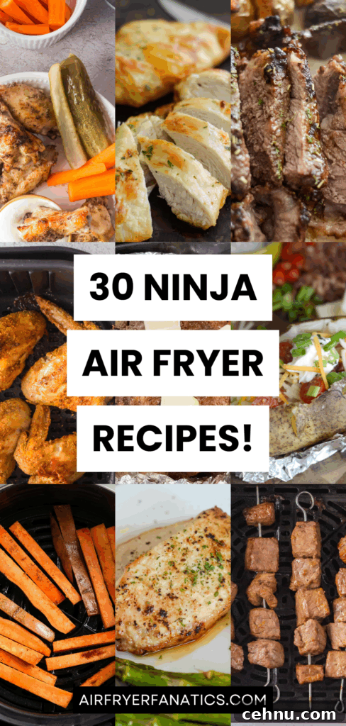 ninja air fryer recipes