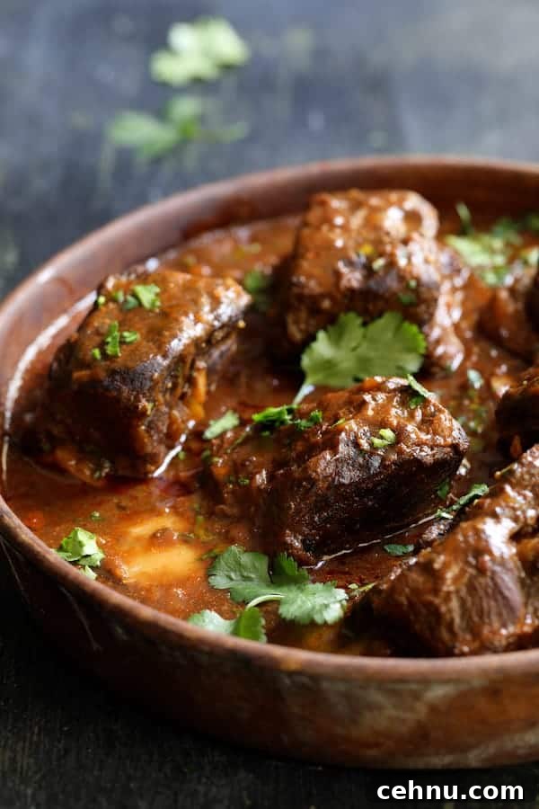 Slow Cooker Barbacoa Short Ribs with Cilantro-Lime Cauli Rice 8 Close-up photo of Slow Cooker Beef Short Ribs Barbacoa with Cilantro Lime Cauliflower Rice in earthenware bowl garnished with cilantro.