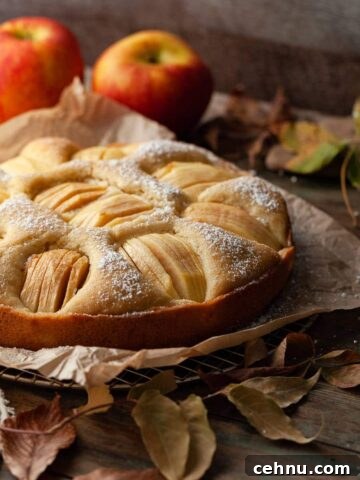 Gluten Free Apple Cake