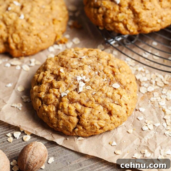 Gluten Free Pumpkin Oatmeal Cookies