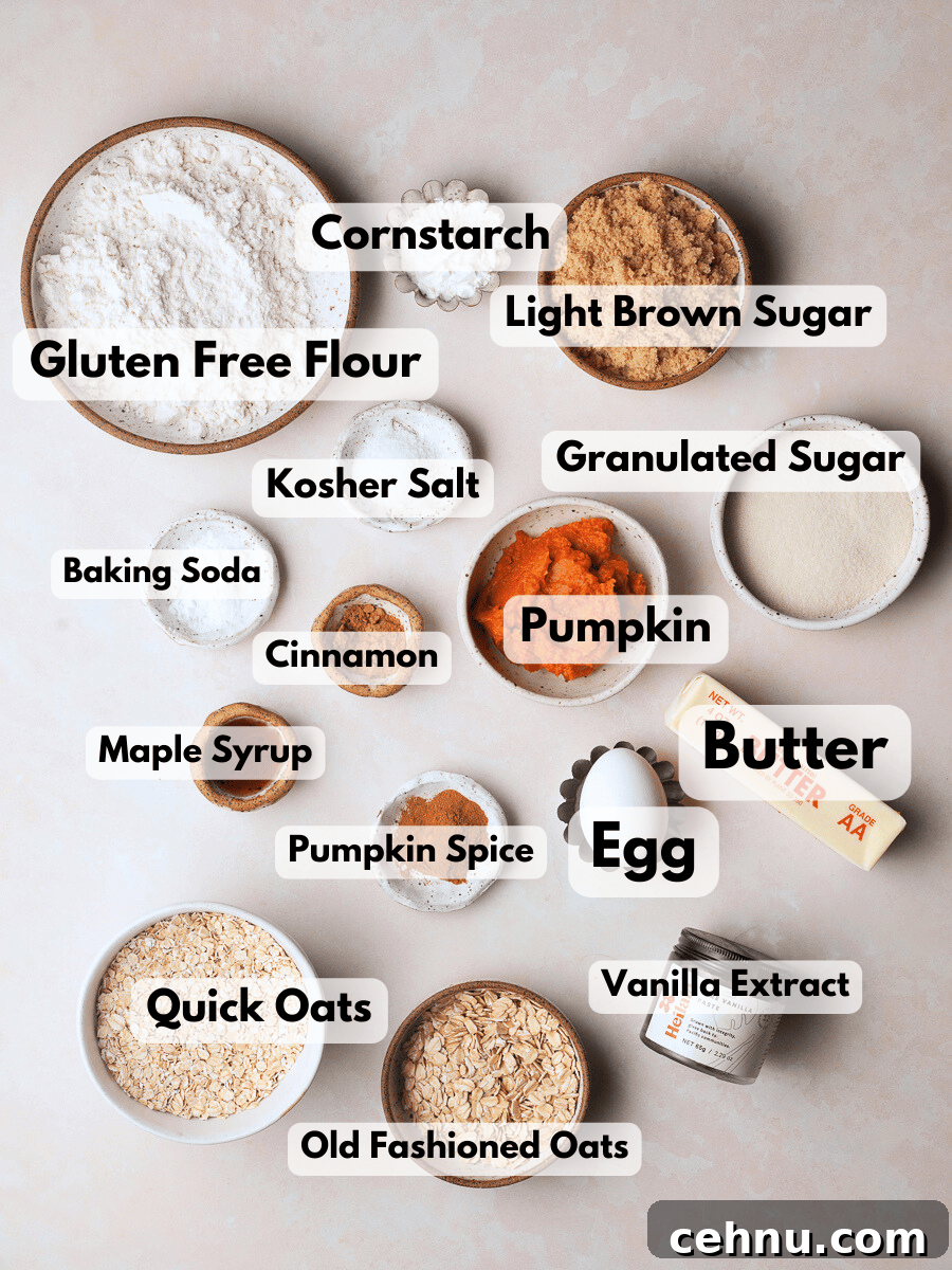 ingredients needed to make pumpkin oatmeal cookies