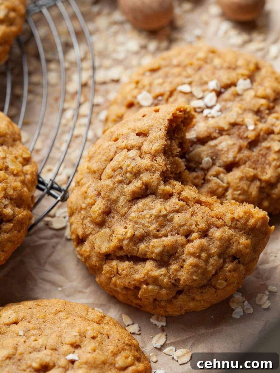 Gluten Free Pumpkin Oatmeal Cookie with a bite taken out on a brown parchment paper topped with instant oats
