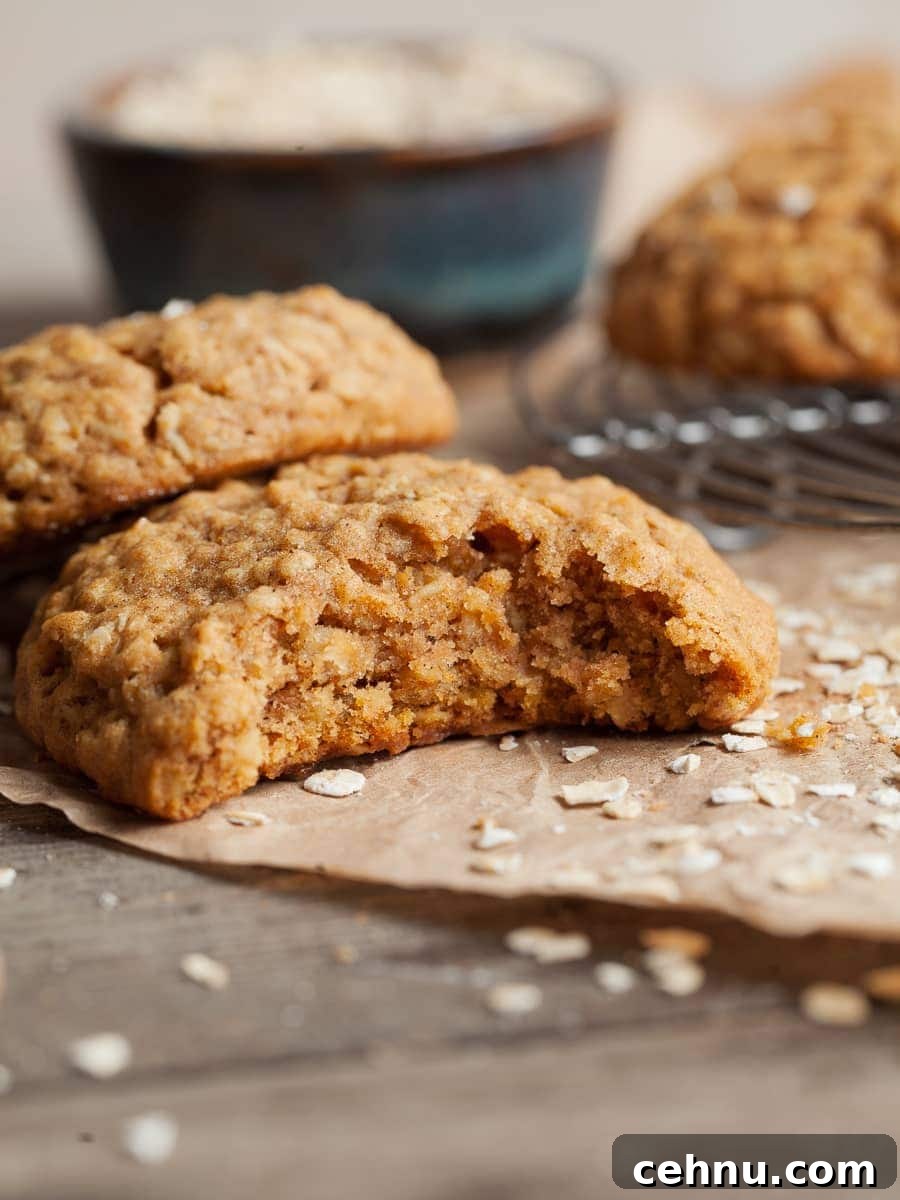 Gluten Free Pumpkin Oatmeal Cookie with a bite taken out on a brown parchment paper topped with instant oats