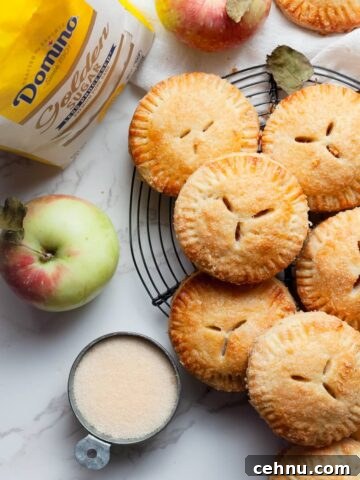 Gluten Free Apple Hand Pies