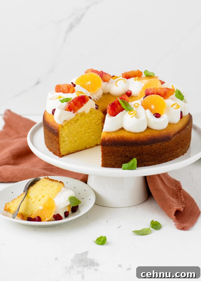 Moist Orange Yogurt Cake Recipe with Citrus Whipped Cream 6 Easy Orange Yogurt Cake with Citrus Whipped Cream // FoodNouveau.com