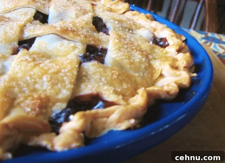 Close up of the browned crust with sugary sprinkle