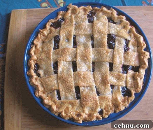 overhead shot of blueberry pie with lattice top browned crust