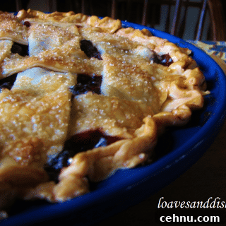 blueberry pie close up in blue pie dish on cutting board