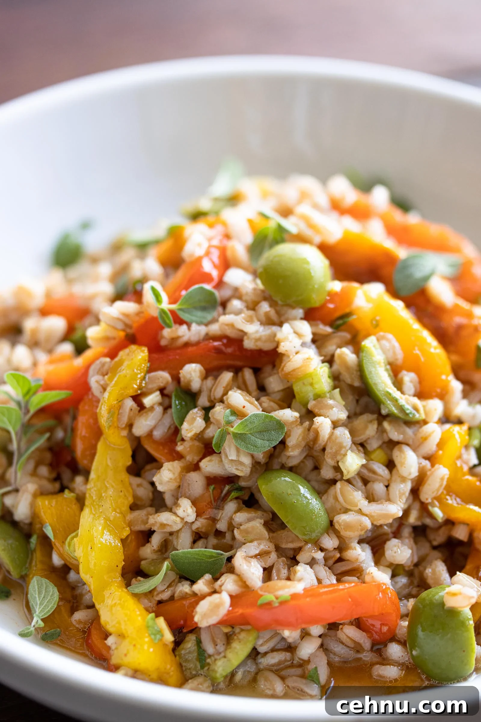 roasted bell pepper & Italian Farro Salad