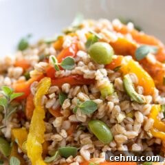roasted bell pepper & Italian Farro Salad