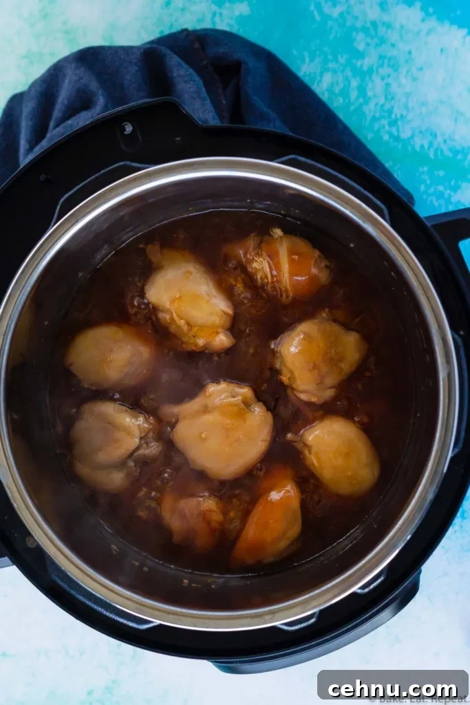 Instant Pot Honey Garlic Chicken Thighs Recipe 2 instant pot honey garlic chicken thighs