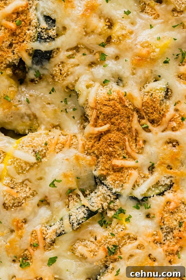 Cheesy Yellow Squash Casserole Recipe 4 A close up image of the cheesy crust on top of squash casserole recipe