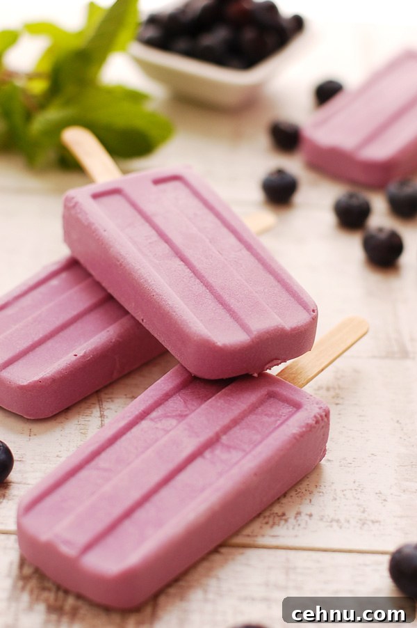 Homemade Blueberry and Purple Sweet Potato Popsicle Recipe 2 Blueberry and Purple Sweet Potato Popsicles