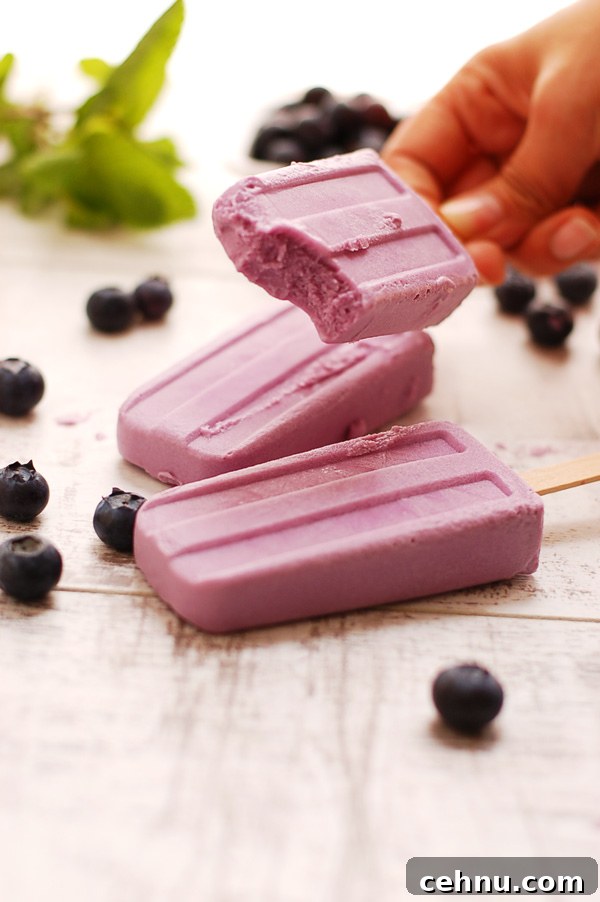 Homemade Blueberry and Purple Sweet Potato Popsicle Recipe 3 Purple Sweet Potato and Blueberry Yummy Popsicles!