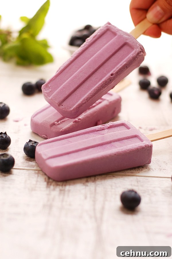 Homemade Blueberry and Purple Sweet Potato Popsicle Recipe 4 Vegan Popsicles made with Blueberries and Purple Sweet Potato