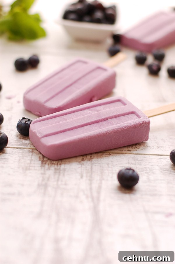 Homemade Blueberry and Purple Sweet Potato Popsicle Recipe 5 Blueberry and Purple Sweet Potato Creamy Popscicles! Yummy and easy to make, delicious for summer days!