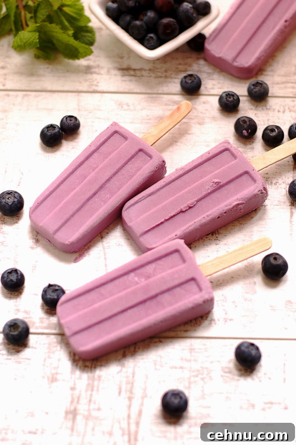 Homemade Blueberry and Purple Sweet Potato Popsicle Recipe 6 Awesome Purple Vegan Popsicles made with Blueberries and Purple Sweet Potato
