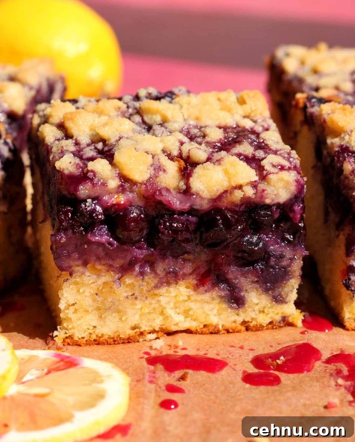 Lemon Blueberry Crumb Cake Recipe 2 blueberry crumb cake