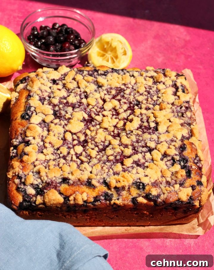 Lemon Blueberry Crumb Cake Recipe 3 blueberry crumb cake