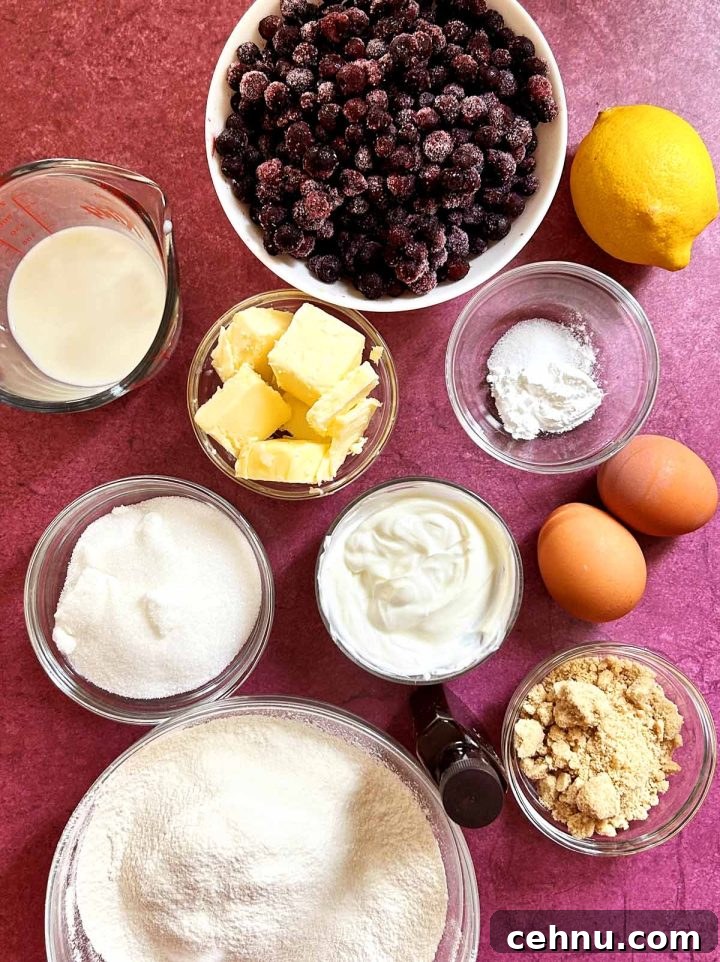 Lemon Blueberry Crumb Cake Recipe 5 blueberry crumb cake ingredients