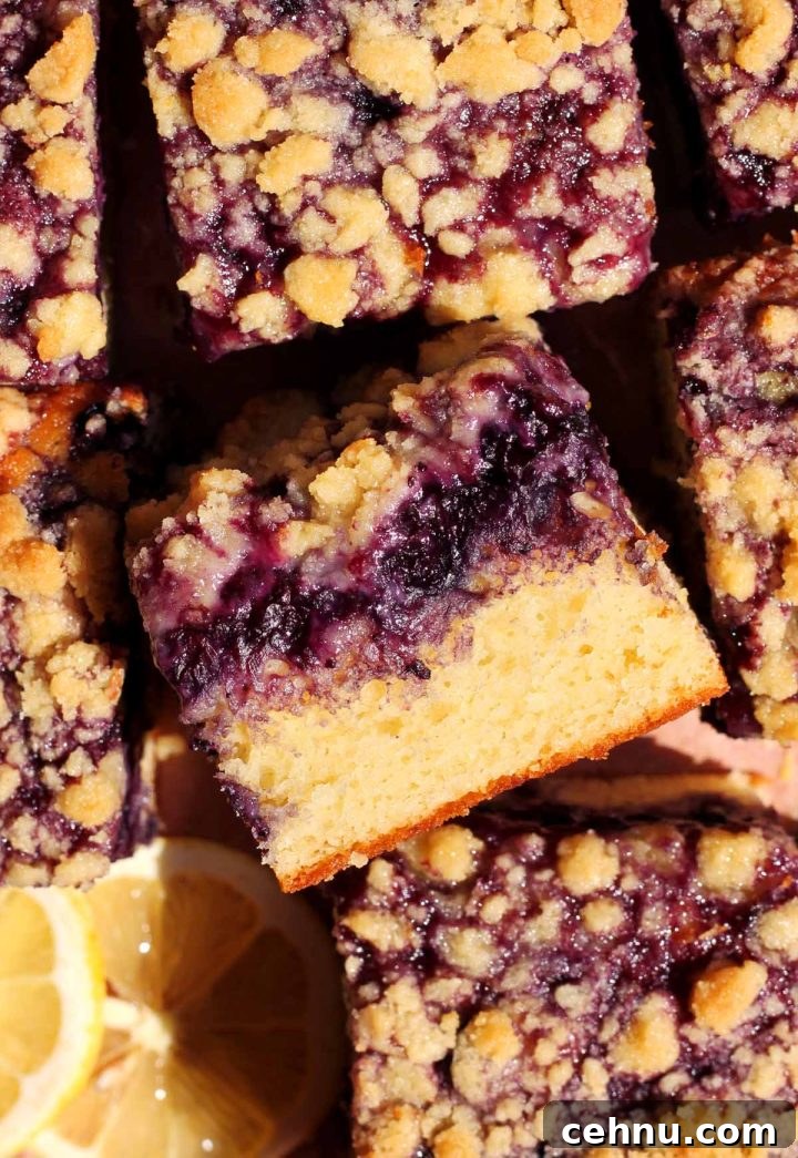 Lemon Blueberry Crumb Cake Recipe 6 blueberry crumb cake