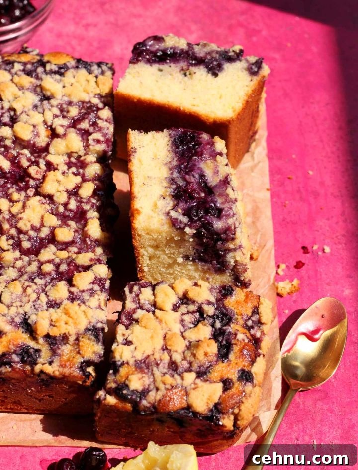 Lemon Blueberry Crumb Cake Recipe 7 blueberry crumb cake