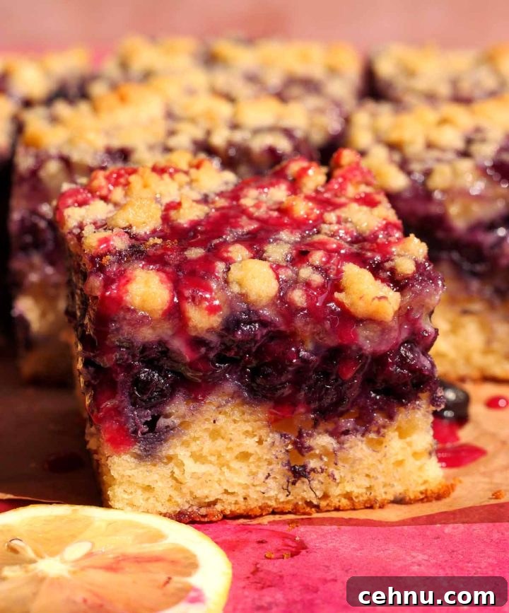 Lemon Blueberry Crumb Cake Recipe 8 blueberry crumb cake