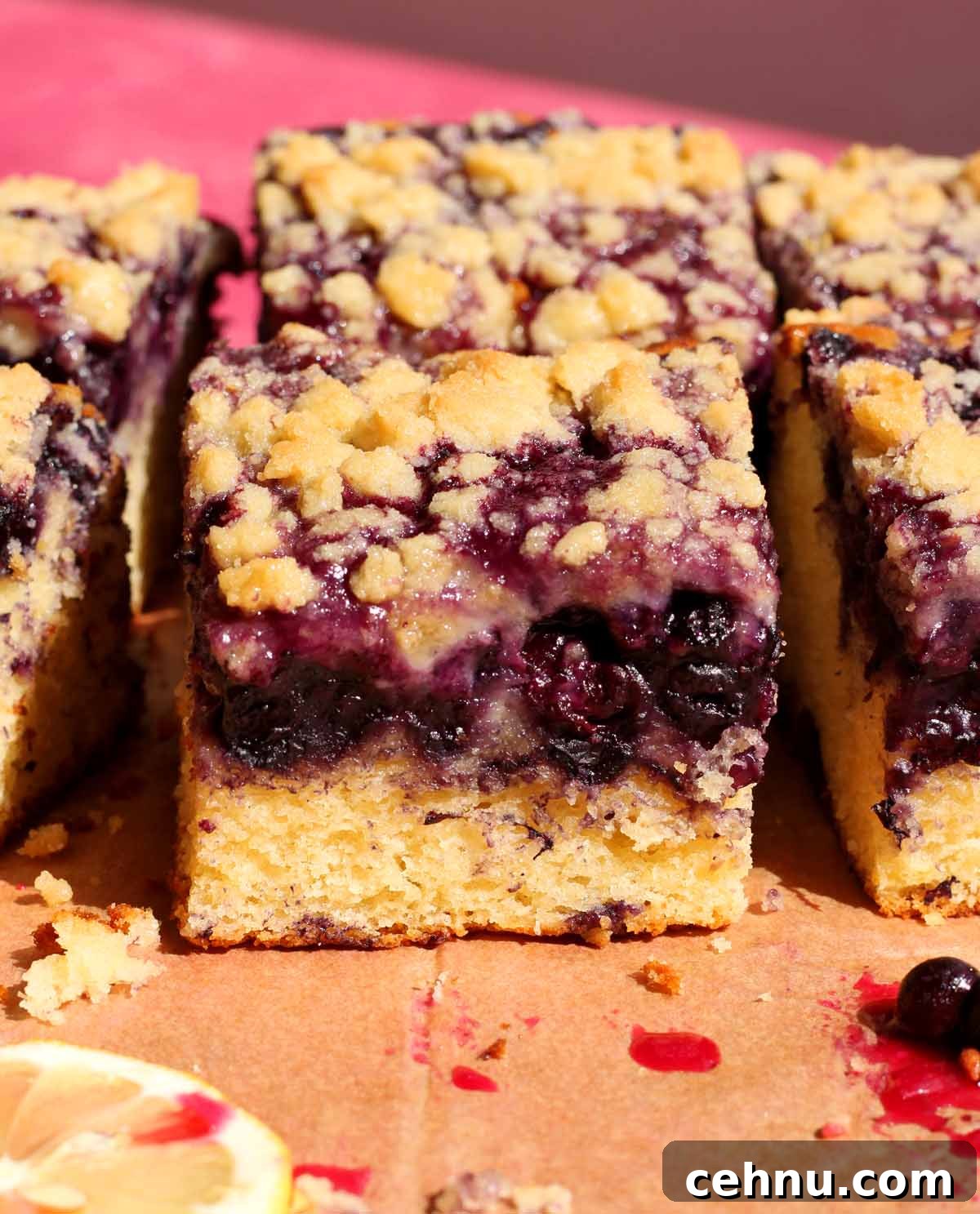 Lemon Blueberry Crumb Cake Recipe 9 blueberry crumb cake slice
