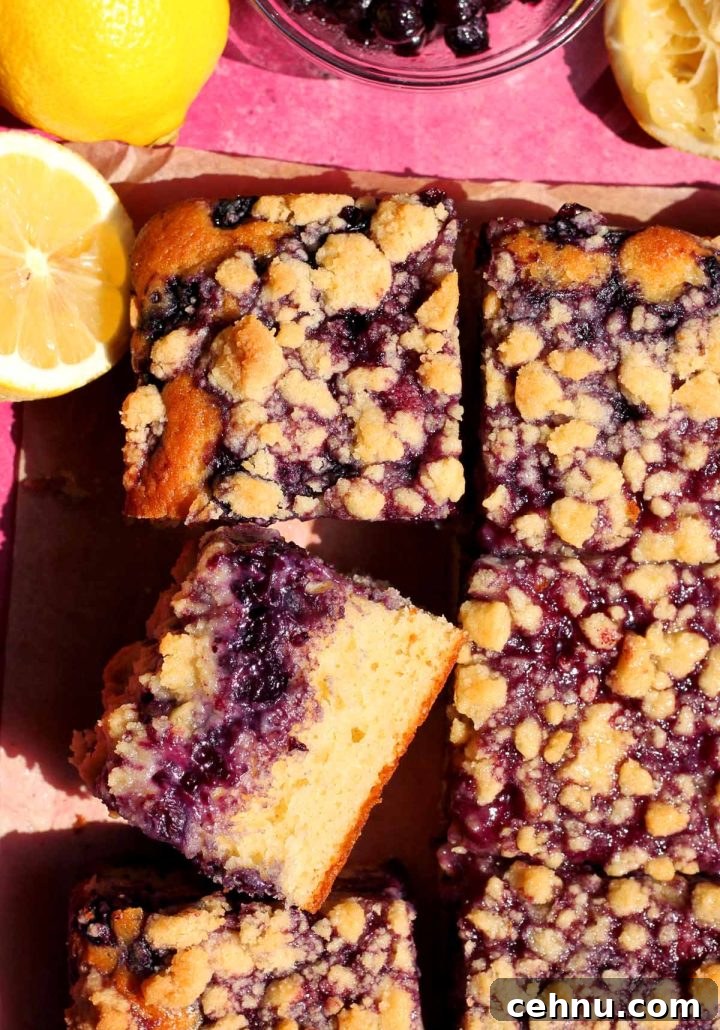 Lemon Blueberry Crumb Cake Recipe 10 blueberry crumb cake