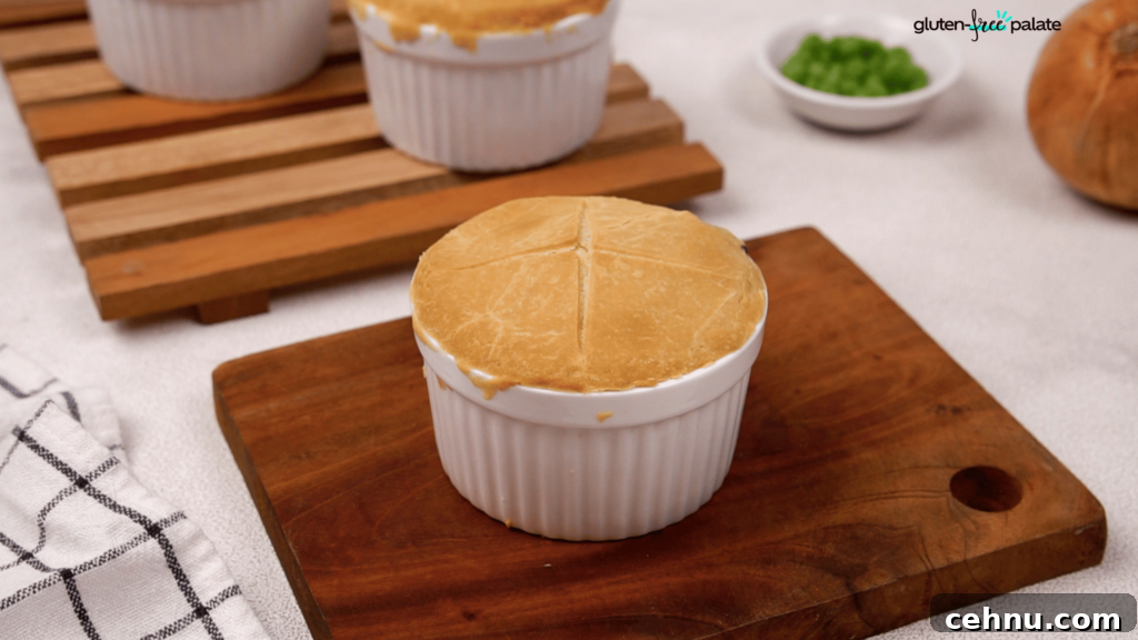 Gluten Free Chicken Pot Pie Recipe with Flaky Crust 16 A gluten free chicken pot pie fresh out of the oven.