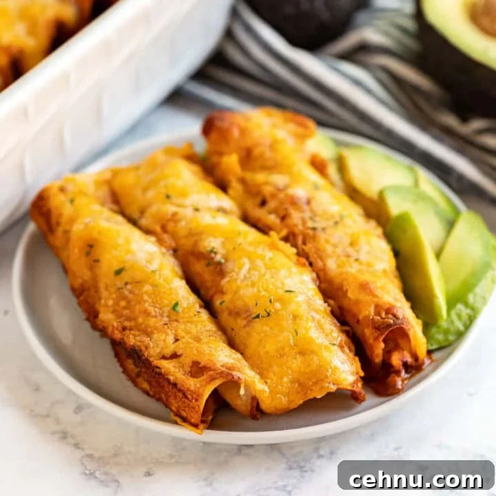 Chicken enchiladas on a white plate.