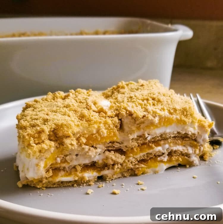 This FILIPINO MANGO FLOAT CAKE is a Filipino version of ice box cake and it's famous as potluck recipe for parties. Replace the mango with different fruits. This FILIPINO MANGO FLOAT CAKE is a Filipino version of ice box cake and it's famous as potluck recipe for parties. Replace the mango with different fruits.