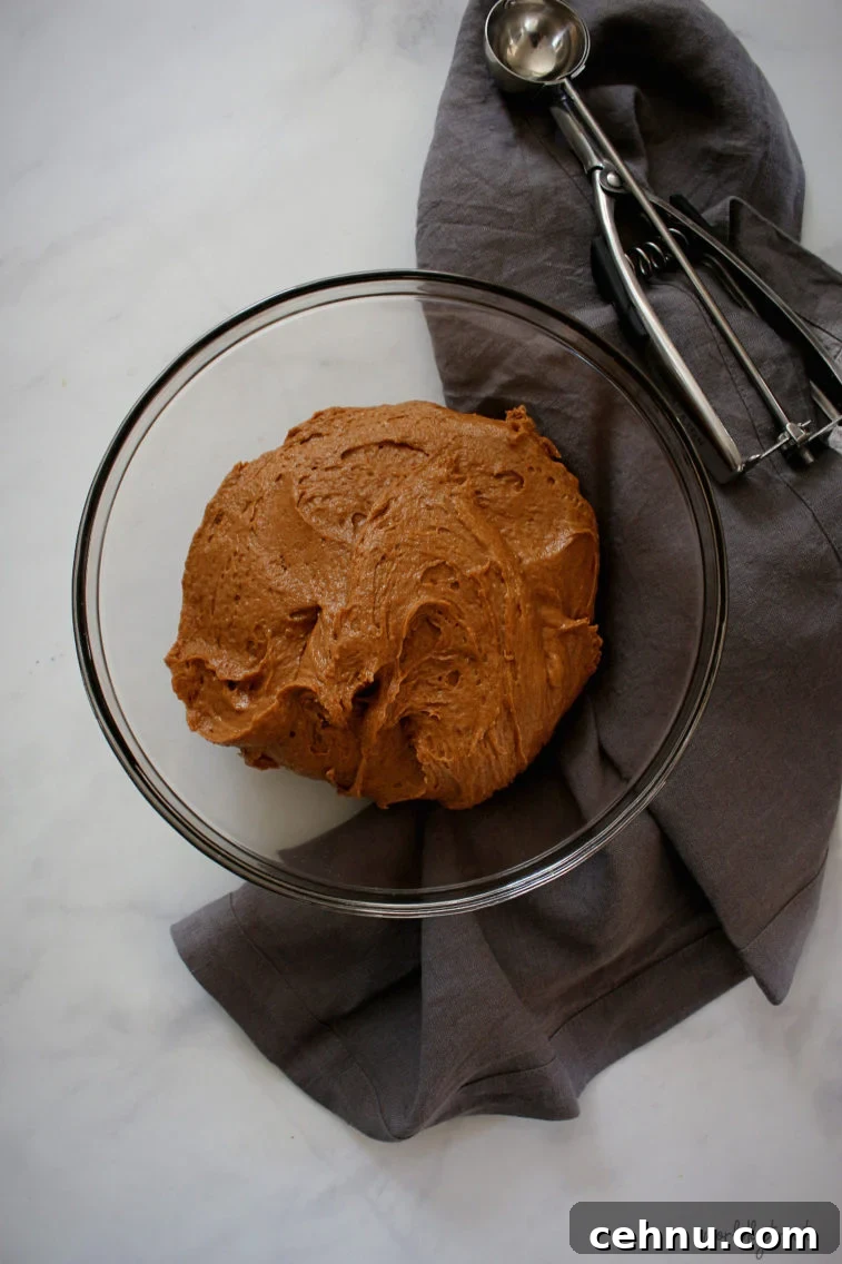 chewy pumpkin snap cookies combined in a bowl and ready to rest the dough.