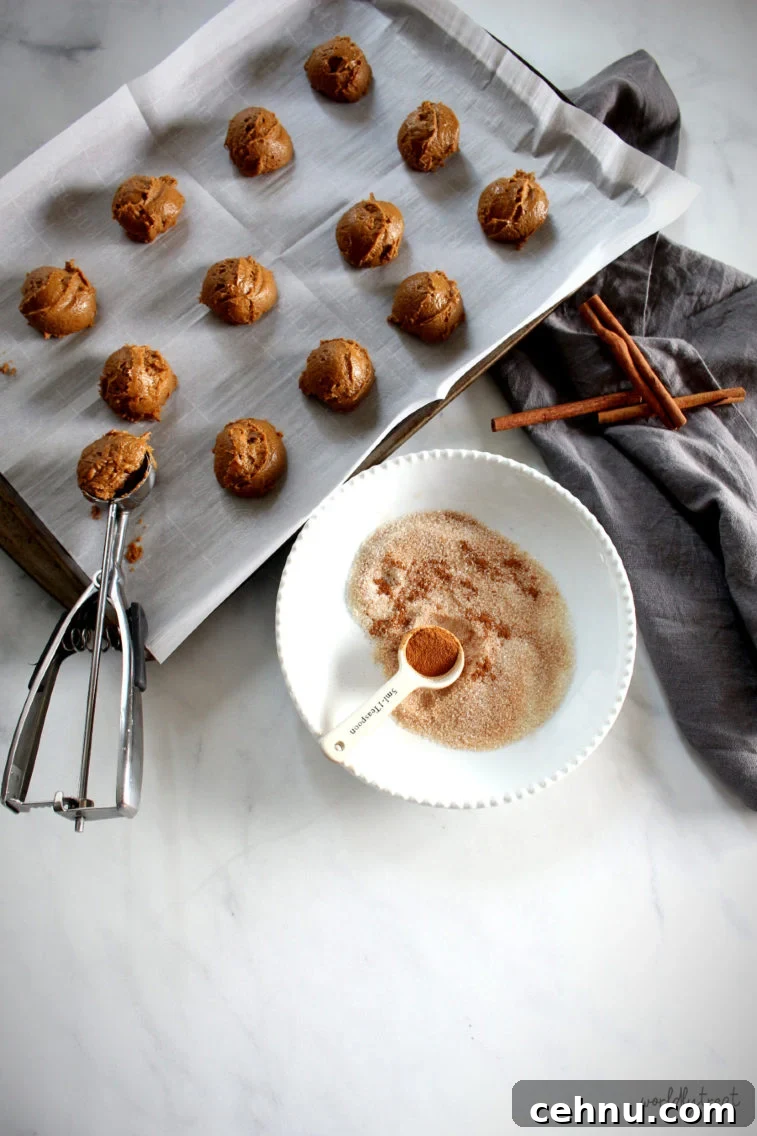 scooping the chewy pumpkin cookie dough and rolling in cinnamon sugar
