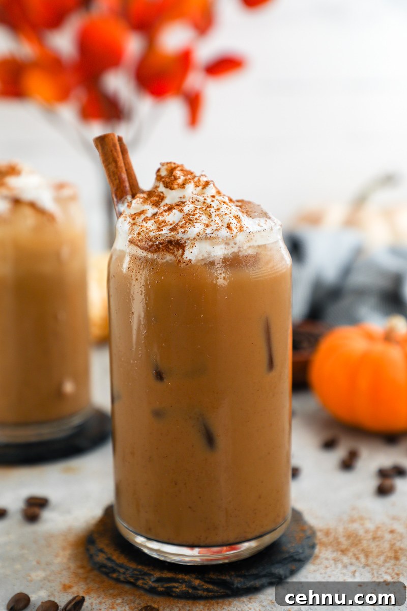 A homemade iced pumpkin spice latte topped with whipped cream surrounded by tiny pumpkins and cinnamon sticks