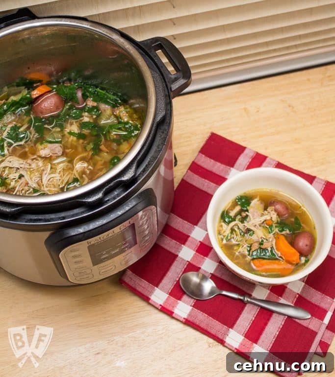Overhead view of an Instant Pot full of soup with a bowl and spoon alongside.