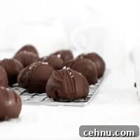 finished Easy Chocolate Truffles Recipe with truffles on a small wire rack