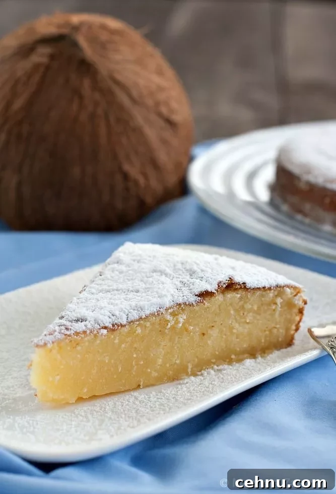 Condensed Milk Coconut Cake Recipe 4 Close-up of a slice of condensed milk and coconut cake.