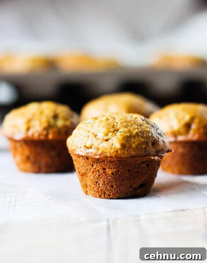 Moist Mini Zucchini Muffins Recipe 3 Healthy Mini Zucchini Muffins - easy bite-sized whole wheat zucchini muffins for kids and breakfast.