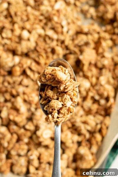 Finished granola 8