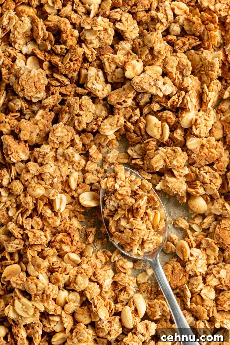 Homemade Peanut Butter Granola: Crunchy Oven-Baked Recipe 14 Jar of homemade peanut butter granola