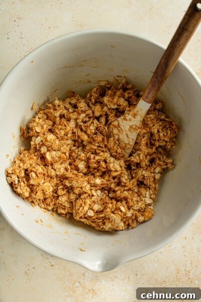 Finished granola 5