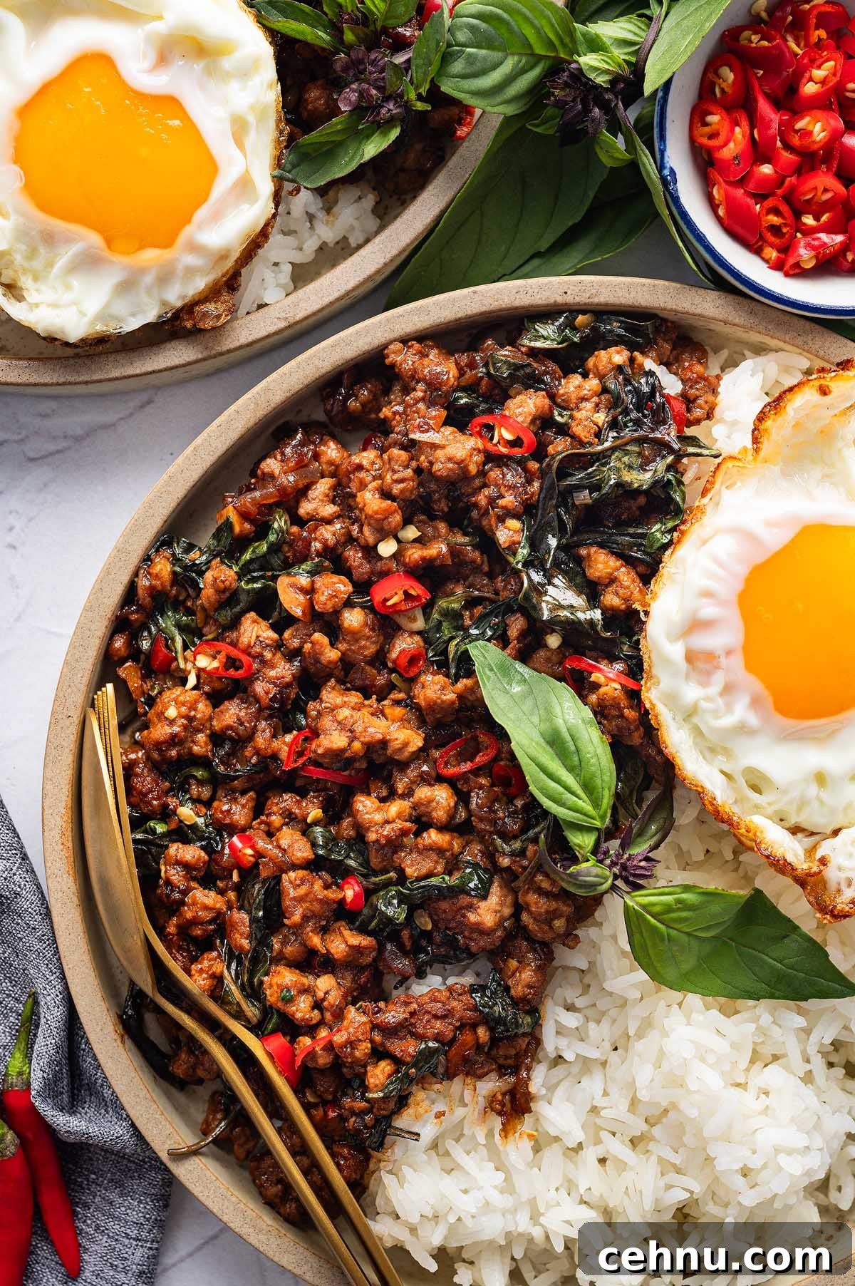 A plate of Thai basil pork features cooked minced meat with basil, sliced red chilies, white rice, and a fried egg, all garnished with fresh basil leaves.