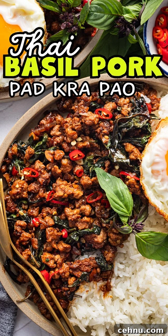 A delightful plate of Thai basil pork (Pad Kra Pao)vwith rice, garnished with aromatic basil leaves and vibrant red chilies, complemented by perfectly fried eggs.